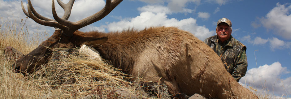 Gil Austin, 2010 Sierra Grande Bull Elk