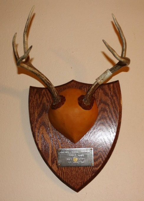 Mule Deer Panel Mount