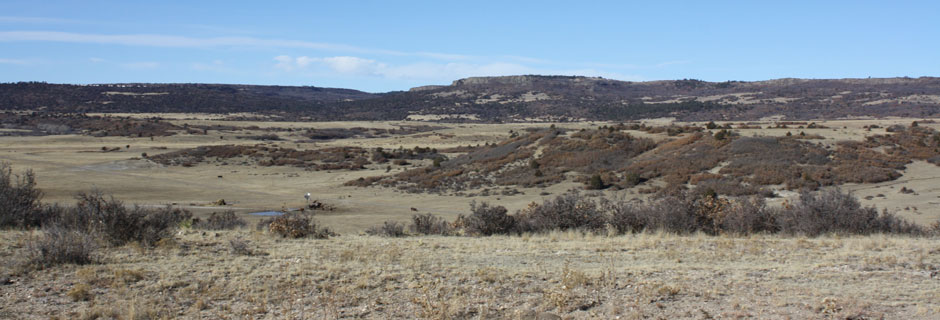 Northeastern New Mexico